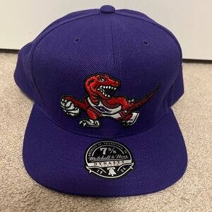 Retro Styled Toronto Raptors Hat